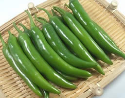 Korean Pepper